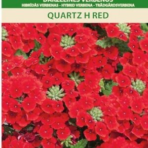 4770168275096-quartz-h-red