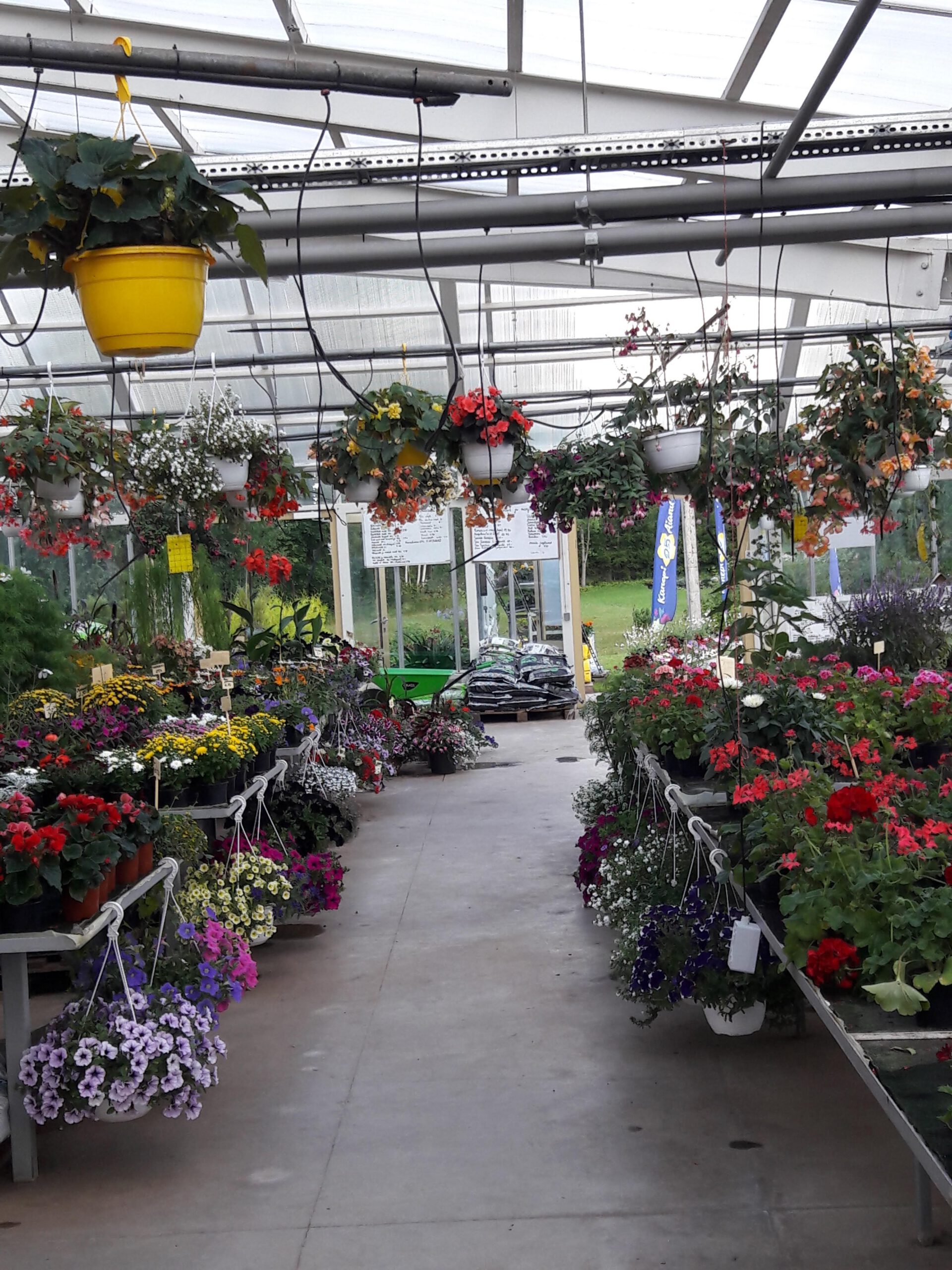 Müügipunktid ja aiandid