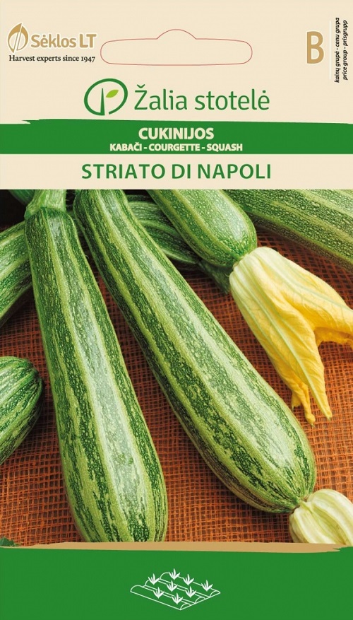 Suvikõrvits ‘Striato di Napoli’ – Cucurbita pepo L. 2g B