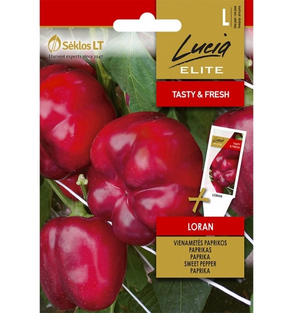 Paprika ‘Loran’ – Capsicum annuum L.