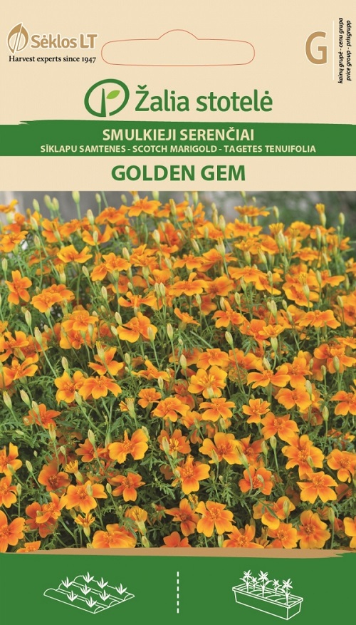 Ahtalehine peiulill ‘Golden Gem’ – Tagetes tenuifolia Cav. 0,5g G
