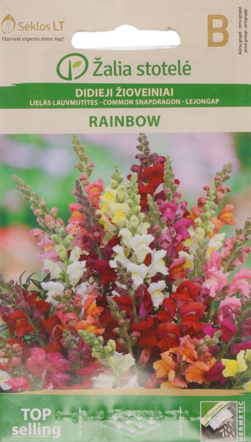 Suur lõvilõug ‘Rainbow’ – Antirrhinum majus L. B