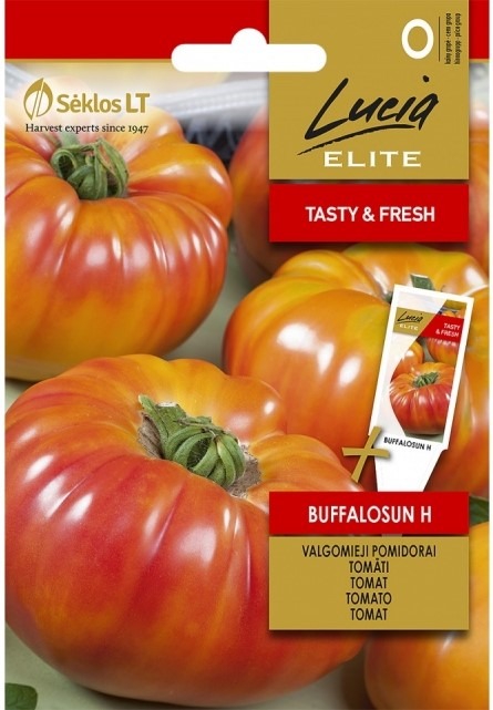 Tomat ‘Buffalosun H’ – Solanum lycopersicum L.