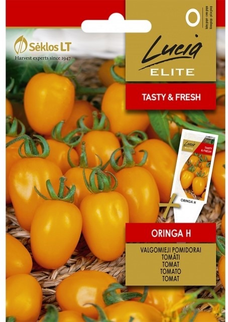Tomat ‘Oringa H’ – Solanum lycopersicum L.