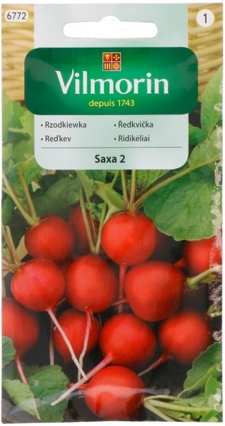 Redis Saxa 2  Raphanus sativus