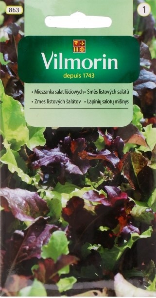 Salati segu – Lactuca sativa 0,5g 1