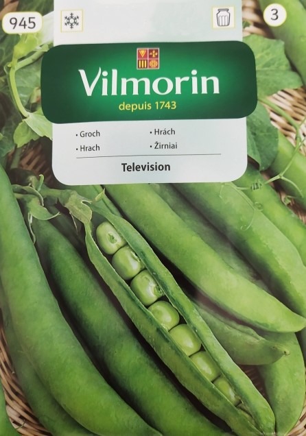 Aedhernes Television Pisum sativum