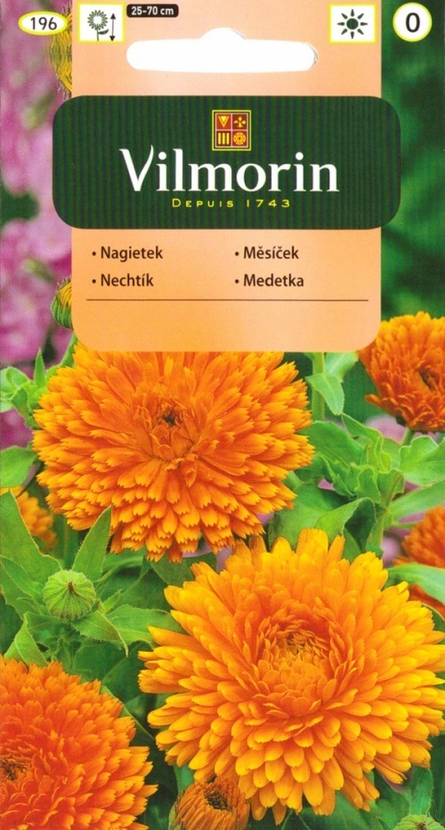 Harilik saialill Calendula offic.