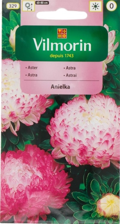 Hiina aedaster Anielka printsess Callistephus chin.