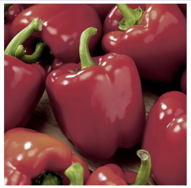 Paprika ‘Trapez’