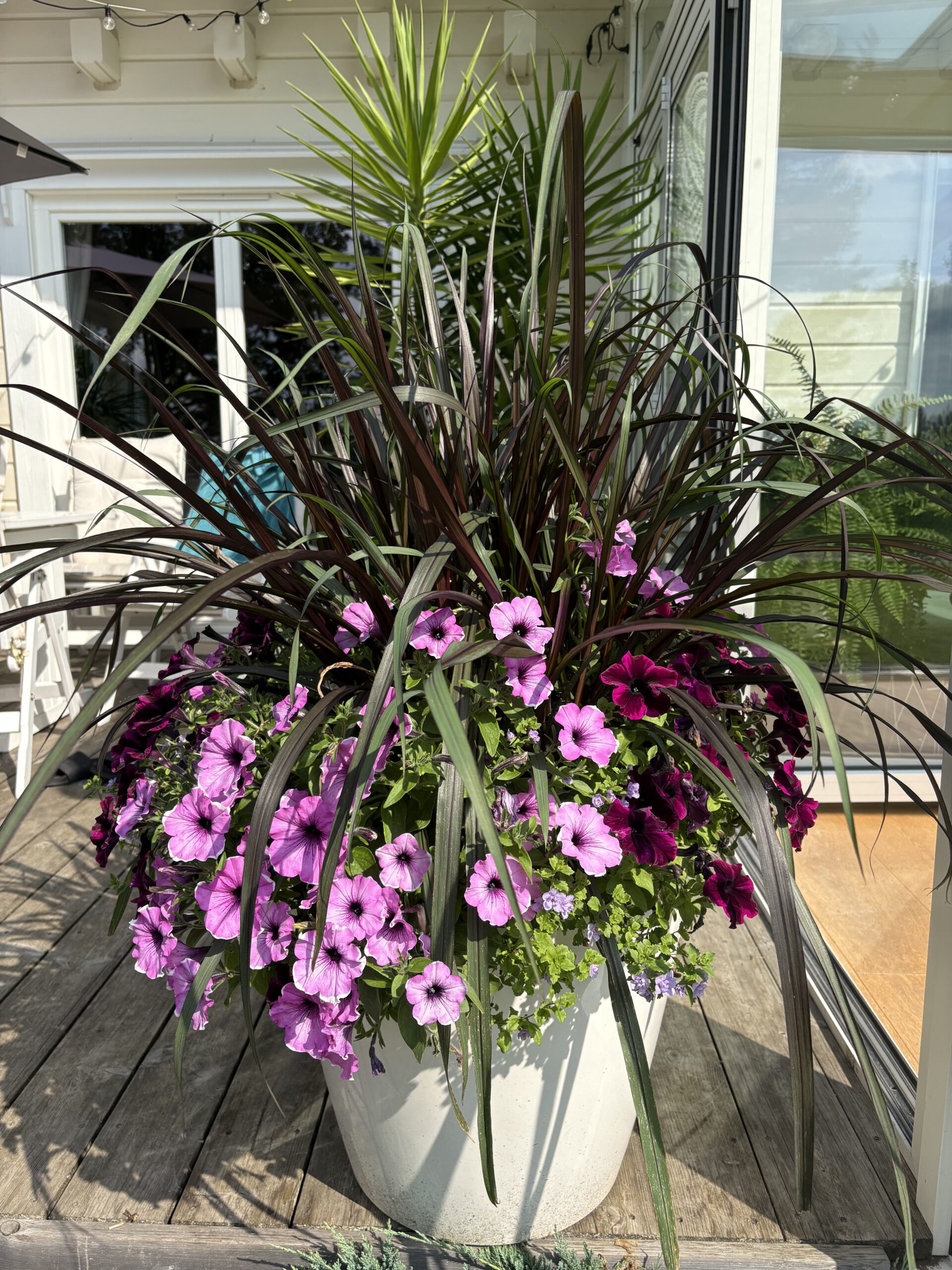 Istikud ja õuetaimed