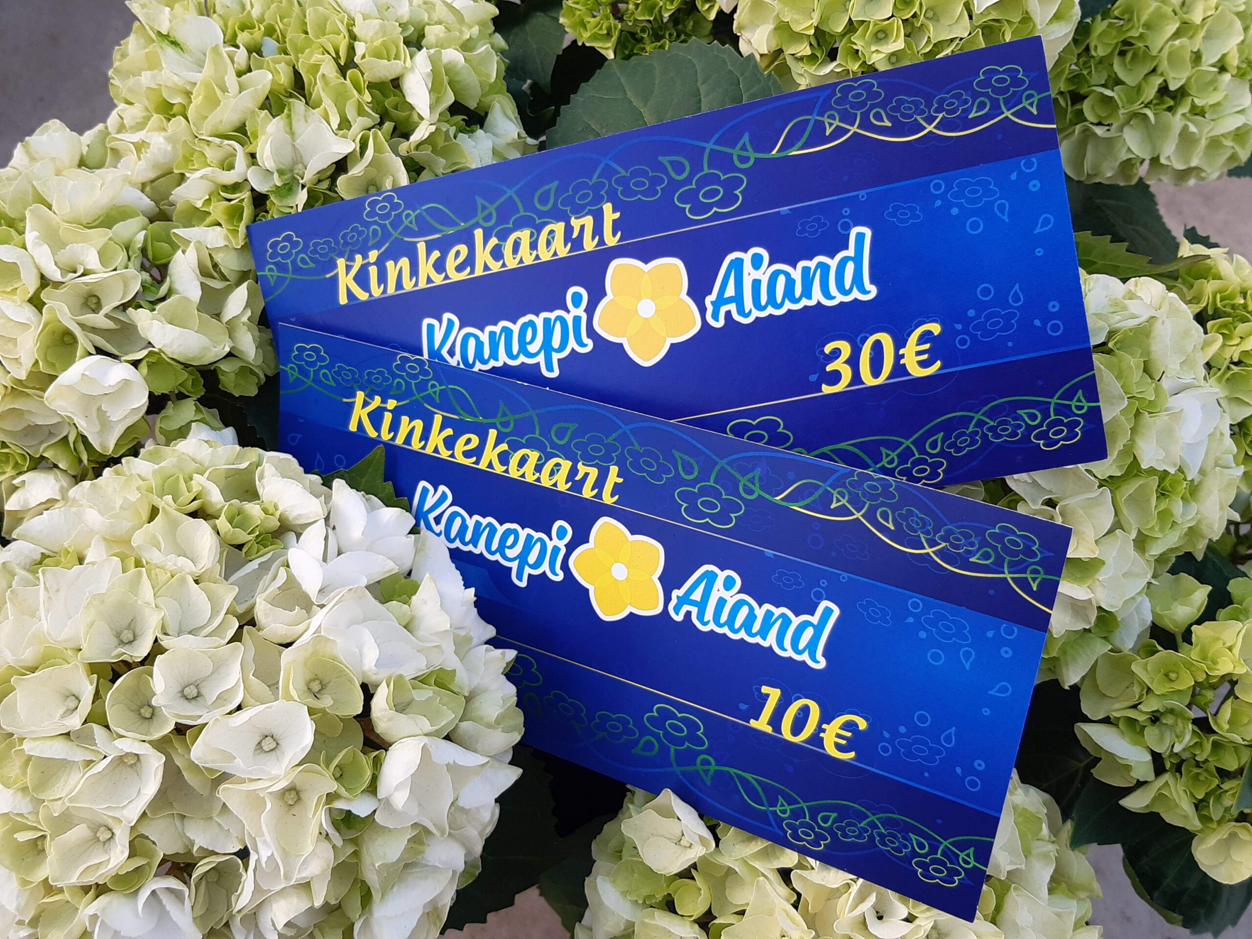 Kinkekaardid ja -komplektid