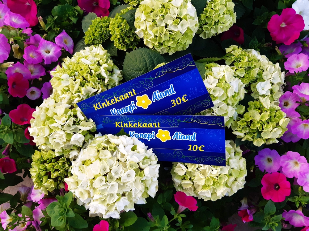 Kinkekaart ümbrikus 30€