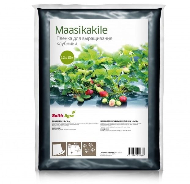 maasikakile-4742604000388-1