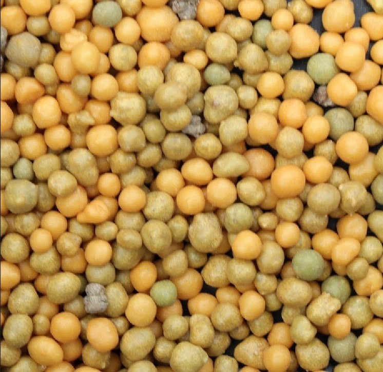 Pikatoimeline väetis lilledele 5-6kuud