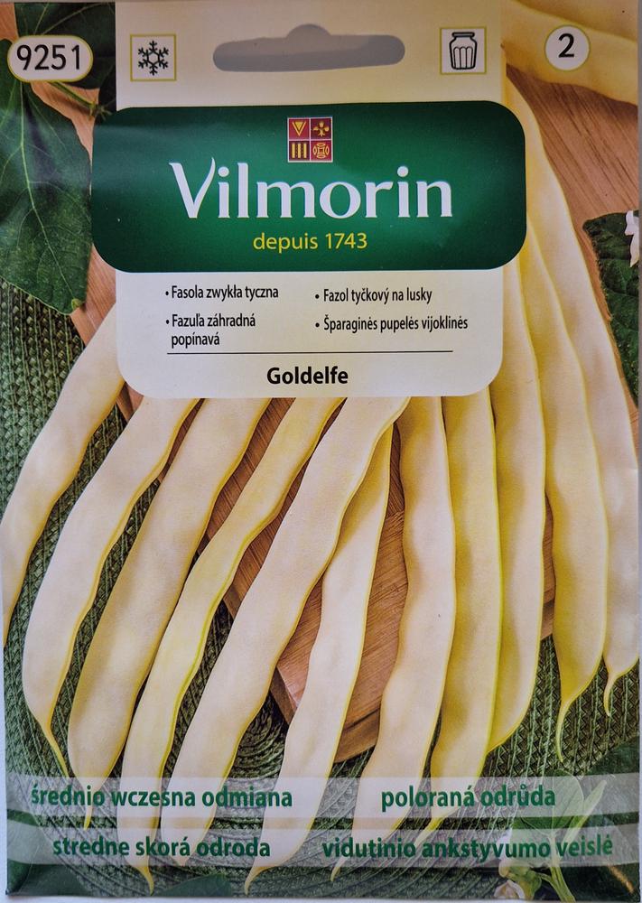 Aeduba kollane Goldelfe Phaseolus vulgaris