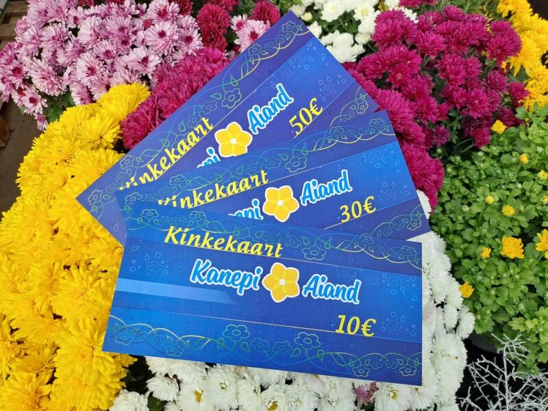 Kanepi-Aiandi-kinkekaardid-2