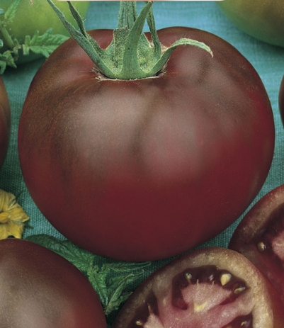 Tomat-Noire-de-Crime